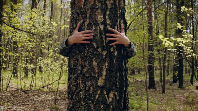 Arms Hugging a Tree In a Forest, showing Love and Care for Nature and Environment of Earth. Hug the tree. Hands of a adult person hug a tree trunk. Unity with nature, environmental protection