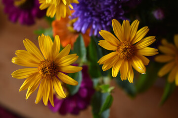 Colorful bouquet of garden flowers in the room