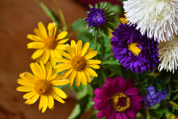 Colorful bouquet of garden flowers in the room