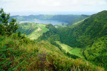 Fototapeta na wymiar green nature on the beautiful azores islands