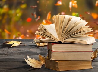 Open book on autumn park background with autumn fallen leaves on it.