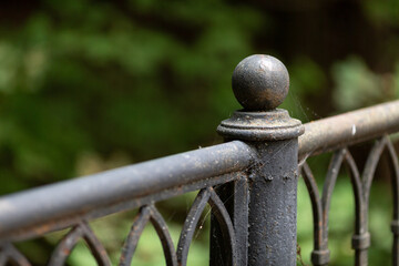 Iron old curly fence in rust and cobwebs in the park