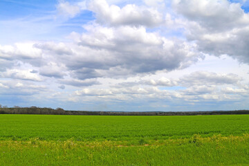 stormy clouds weather tree lined green meadow pasture agricultural farm field