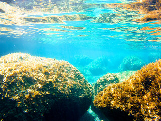 At Sea in Milos, Greece