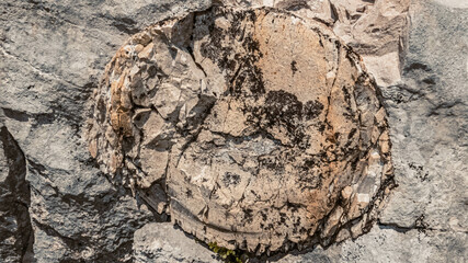 Possible fossils in karst rocks at the famous Loser summit, Altaussee, Steiermark, Austria