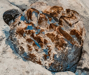 Possible fossils in karst rocks at the famous Loser summit, Altaussee, Steiermark, Austria