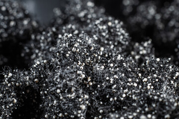 Activated carbon mixed with white beads to fill the filter