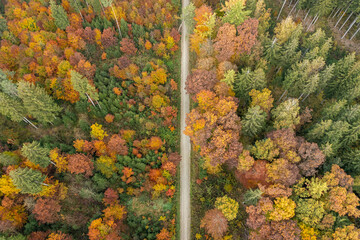 Top down view at a colorful part of an autumn forest with a countryside path in the centre.