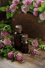 Red clover oil or drug on wooden rustic background, herbal plant is used as immune, antioxidant, in cosmetics, closeup, naturopathy and natural medicine concept