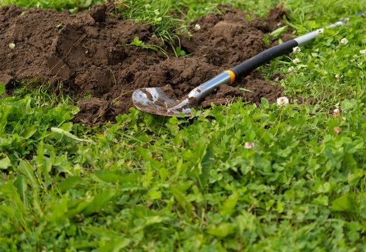 a hand shovel is lying on the green grass next to the excavated earth