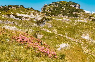 Fototapeta na wymiar Beautiful alpine summer view at the famous Loser summit, Altaussee, Steiermark, Austria