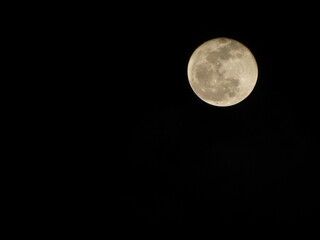 Fototapeta premium full moon in the night sky