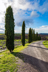Travel to Tuscany. Sunny day