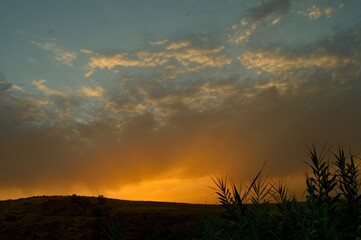 golden sunset in the fields