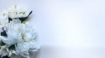 White peonies on a white background are a festive floral arrangement in pastel colors. Background for a greeting card.