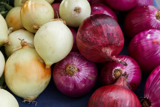 Healthy, fresh-picked purple and yellow onions at an organic farmers market.