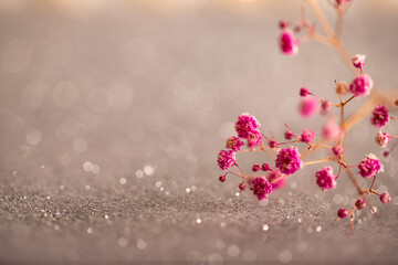 Creative image of pastel pink flowers on a background of abstract glitter lights. silver and white. defocused.