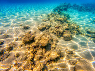 Red Sea bottom covered with golden sand and rocks near coast of Egypt.