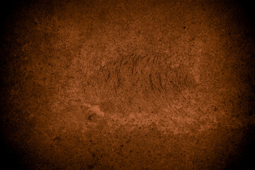 Old wall texture cement brown black gray  background abstract grey color design are light with white gradient background.