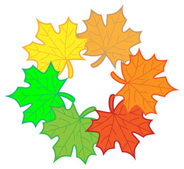 Autumn leaves in gradient colors. Vector