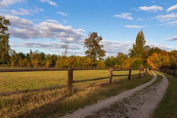 The dirt road around the horse corral is lined with trees.