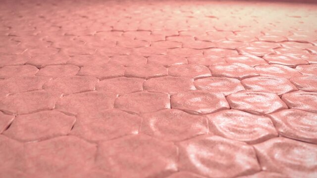 3d macro animation of sunburn skin and drop of moisturizer cream with healing and protective effect. Treatment of dry and allergy face skin by the dermatology and medical lotion, ointment and serum.