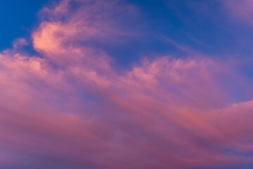 Naklejka na ściany i meble Clouds in the blue sky in the rays of the summer setting sun.