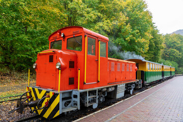 small narrow gauge train in Szalajka valley szilvasvarad Hungary