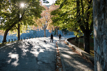 Silhouettes of man, woman and dog walking on an autumn road.