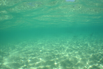 Fototapeta na wymiar sea pool , caribbean sea , underwater paradise