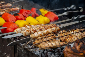 Spit meat and vegetables are fried over an open fire. BBQ meat and vegetables