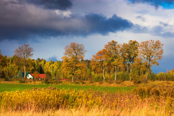 Krajobraz Jesienny 