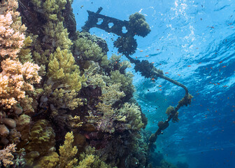 The twisted remains of a jetty on a coral reef in the Red Sea, Egypt