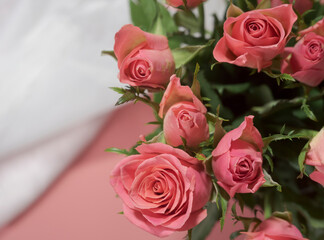 A bouquet of pink roses on a delicate white-pink background. macro. view from above