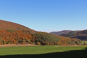 Fototapeta na wymiar Der Nationalpark Kellerwald im Herbst