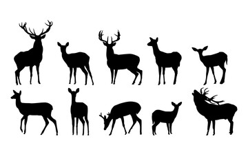 Deer silhouette set on isolated background