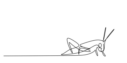 continuous drawing with one line of the cucaracha silhouette