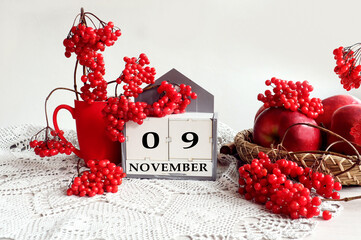 Calendar for November 9: the name of the month in English, the numbers 0 and 9, a bouquet of viburnum and viburnum branches, apples on a tray on a gray openwork napkin, gray background