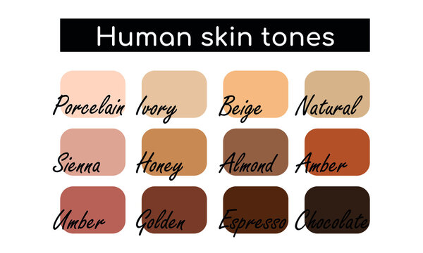 Human skin tones pallets. Informational poster. Vector illustration on white background