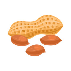 Walnut peanut in cartoon flat style. Vector illustration on white background.