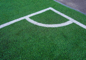 Fototapeta premium Photo of the green lawn of the football field on the street
