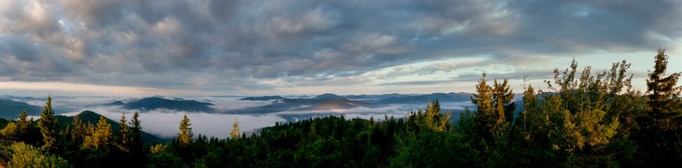 Beautiful autumn panorama of yellow and red trees against the background of big mountains
