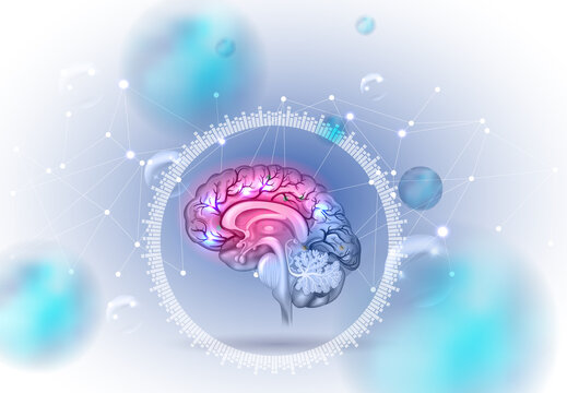 Human brain health concept illustration on an abstract scientific background. 