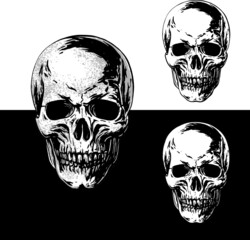 Realistic black and white vector illustration of a skull with many details and halftone isolated on white and black backgrounds