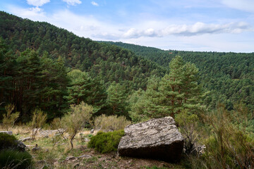 Cloudy sky over the green hills in spring