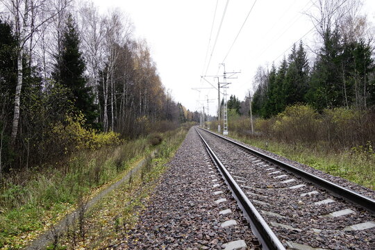 Railroad track in autumn