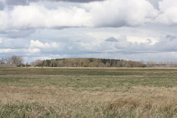 meadows and fields in the rays of the autumn sun