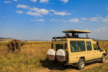 Tourists in SUV car watching and taking photos of african elephants in Serengeti national park,...