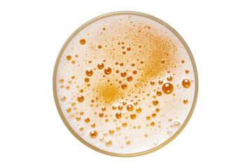 Beer in glass. Beer foam isolated on white background. View from above.