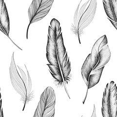 Seamless pattern of bird feathers, hand-drawn on a white background in boho style.